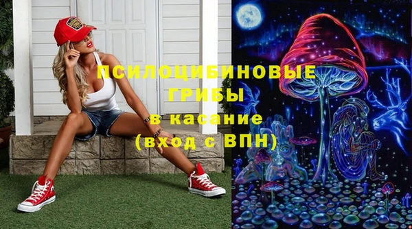 круглые Бородино