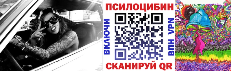 Псилоцибиновые грибы мицелий  Тотьма 